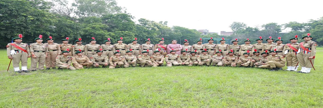 sdp college